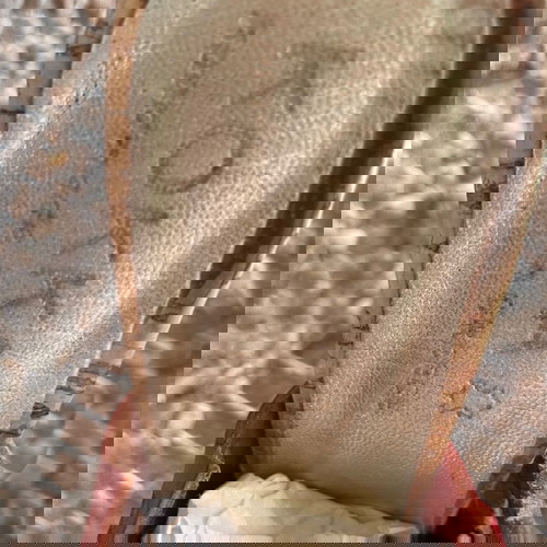 Δερμάτινα χειροποίητα mules KOKKAS SHOES 37, σαν καινούργια, κόκκινα