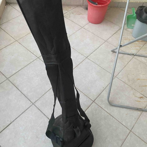 Student Tambouras with case, strings replaced
