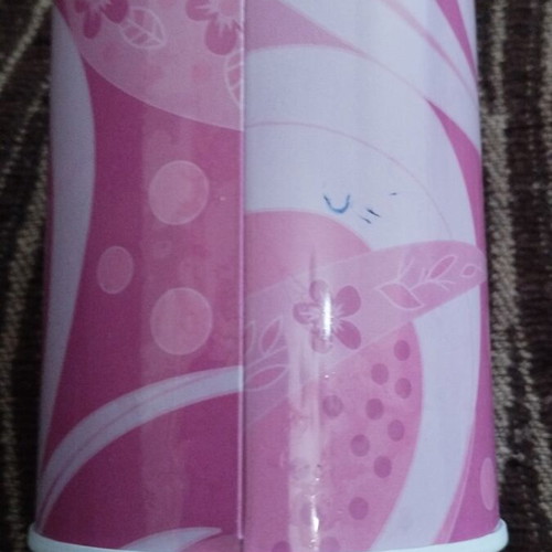Bratz pencil holder