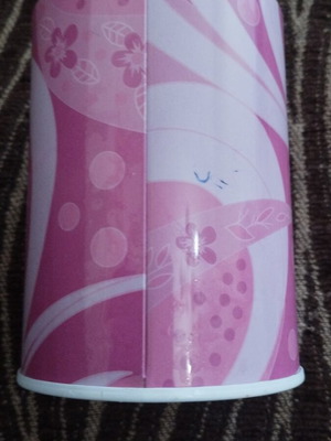 Bratz pencil holder