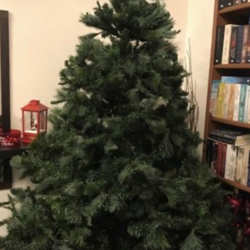 Christmas tree used, almost 2 m, without decorations