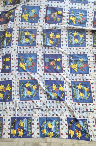 POKEMON ΣΕΝΤΌΝΙ ΚΑΙ ΠΑΠΛΩΜΑΤΟΘΗΚΗ