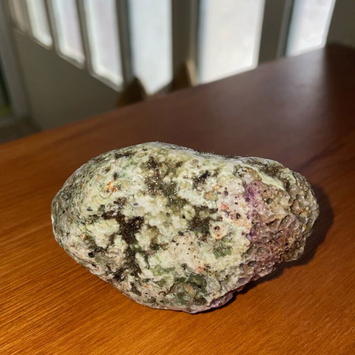 Fossilized coral in limestone new, natural stone