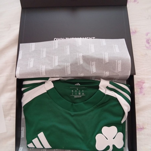Panathinaikos FC 2025/26 Home Jersey Large Signed Match Worn Palmer-Brown