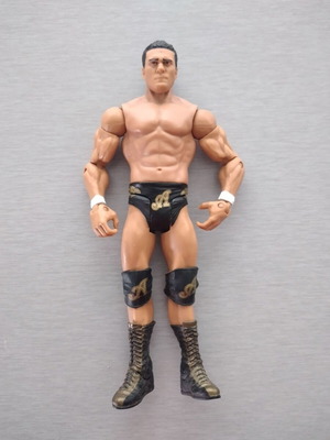 Alberto Del Rio WWE Pro-Wrestling Action Figure toy like new