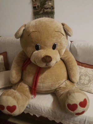 Large teddy bear Xxl used