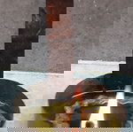  ΛΥΧΝΑΡΙ ΛΑΔΙΟΥ