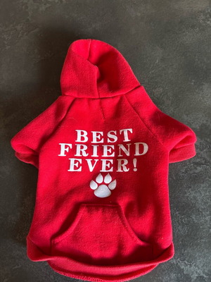 Clothing for small dog like new