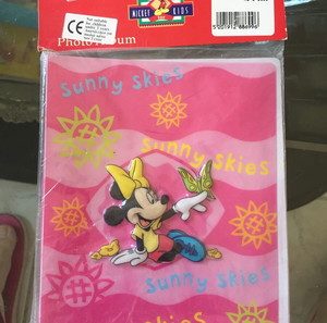 Αλμπουμ φωτογραφιών Minnie disney
