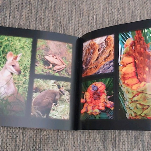 Photo albums like new, pack of 5 with flower, landscape, animal collections