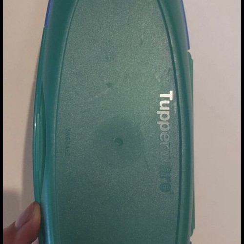 Tupperware multi-compartment plastic case