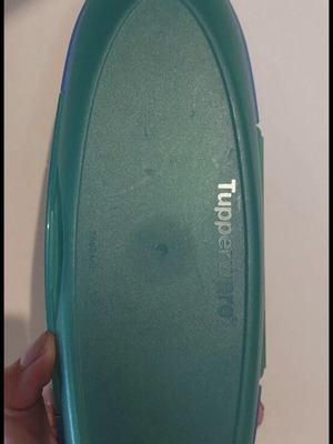 Tupperware multi-compartment plastic case