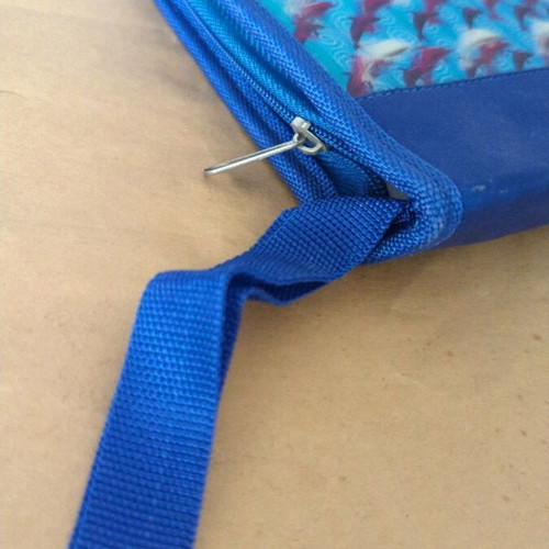 CD case used, blue with 3D dolphins
