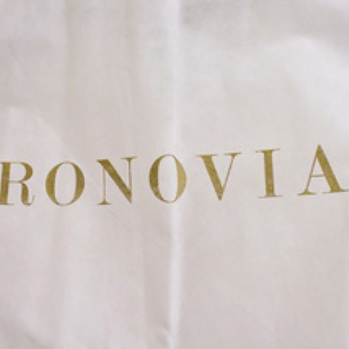 Pronovias Barcelona Dango wedding dress like new with elegant simple design