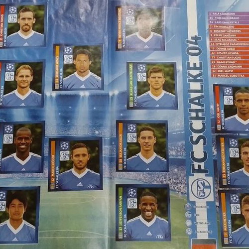 Ts.Lig Album 2013-2014 Panini used with 257/629 stickers