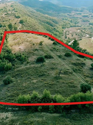 Αγροτεμάχιο 17.197 τ.μ. στη Χανιώτη Χαλκιδικής με θέα και ιδιωτικό δρόμο