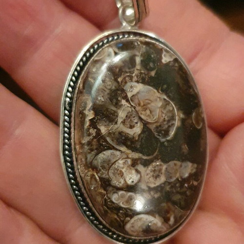 turritella pendant fossil stone