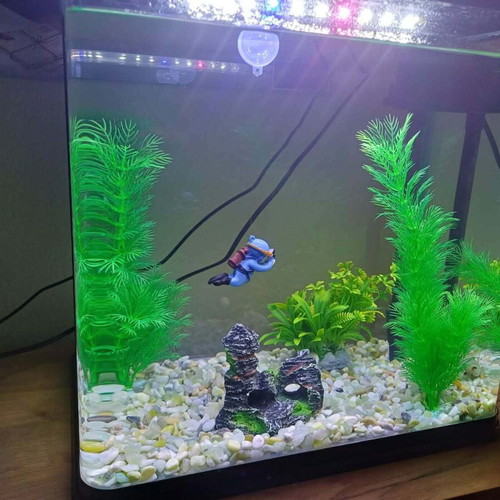 Aquarium 30 liters like new with lighting and filter