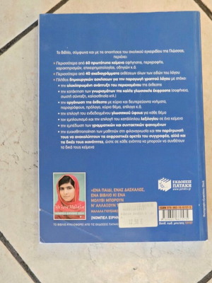 Patakis E' Dimotikou Essay Workbook