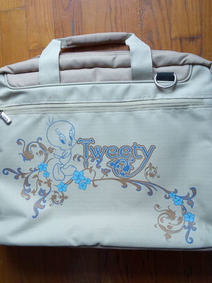 Τσάντα μεταφοράς laptop μέχρι 15,6 σε άριστη κατάσταση