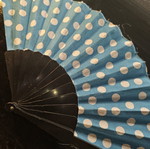 Fan used