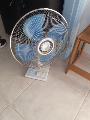 Fan