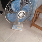 Fan