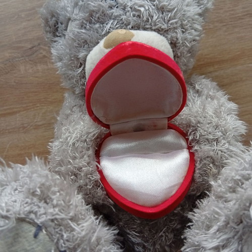 Plush used with ring case