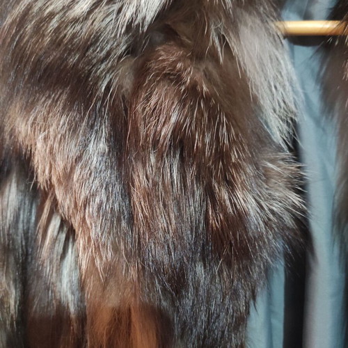 Renard fur coat new from fox in brown and white tones