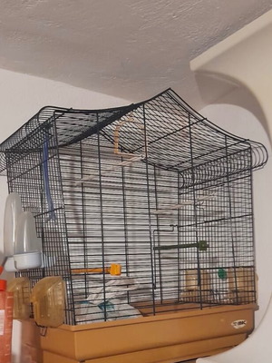 Bird cage with stand