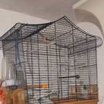Bird cage with stand