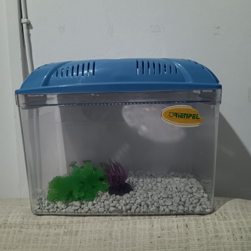 Aquarium like new with gravel and decorations 31×19×20 cm