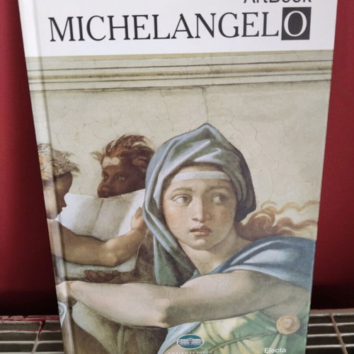 Michelangelo art book like new