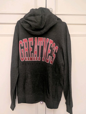 Bershka gray hoodie sweatshirt used, size M, with print
