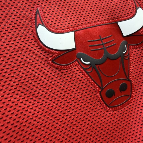 Nike Chicago Bulls Jacket new, authentic