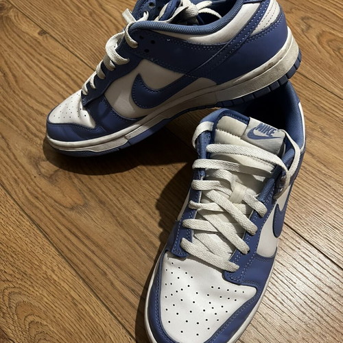 Nike Dunk Low Retro men's sneakers used, polar white, size 42 EU