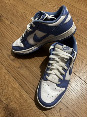 Nike Dunk Low Retro men's sneakers used, polar white, size 42 EU