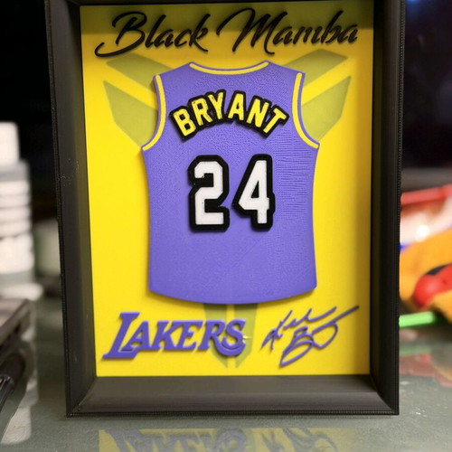 Kobe Bryant Black Mamba framed picture like new