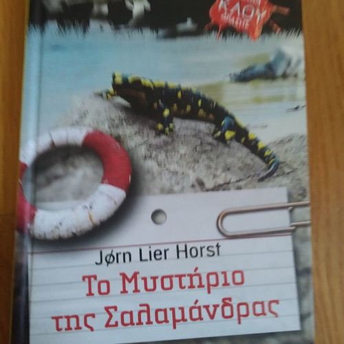 The Mystery of the Salamander novel like new, children and teens