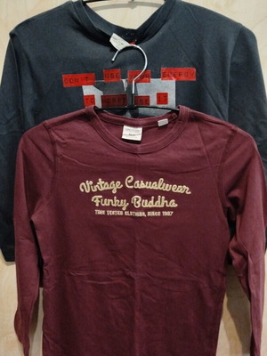 Funky Buddha and Zara 2 long sleeve t-shirts together like new, size 8
