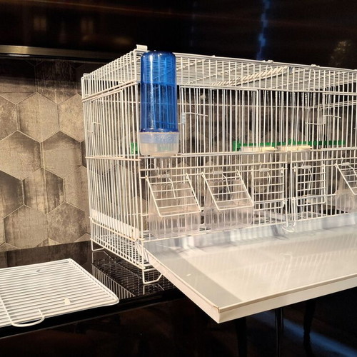 Metal double bird cage 60×25×33 cm with feeders and perches