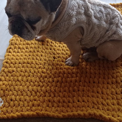 Handmade pet blanket with Alize Puffy yarn, mustard color, made to order