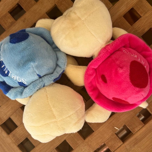 Plush turtles used, pack of two, 14 cm from Zakynthos