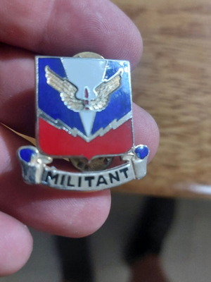 Ww2 American Army collectible pin like new