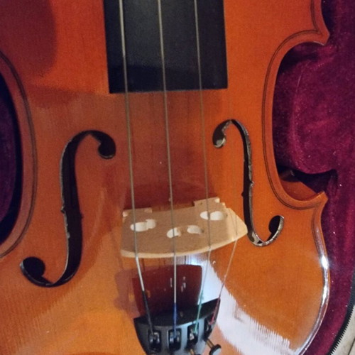 Student violin new