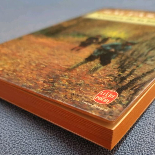 Contes de la bécasse by Guy De Maupassant like new, French