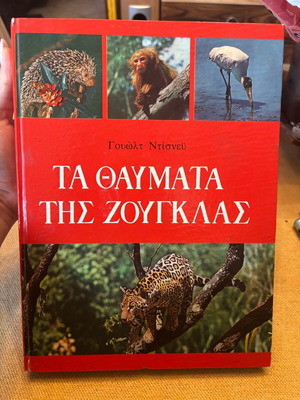 The Wonders of the Jungle Walt Disney like new