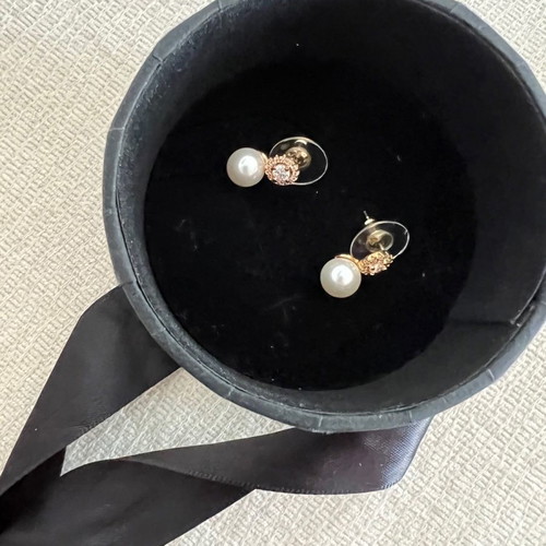 Earrings new, unworn