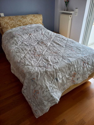 Double quilt winter like new with butterfly pattern