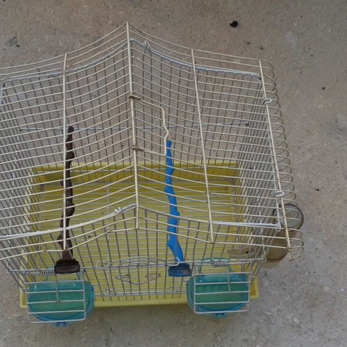 Bird cage used